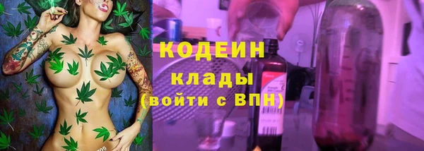 гашик Алзамай