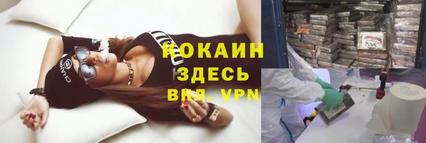 гашик Алзамай