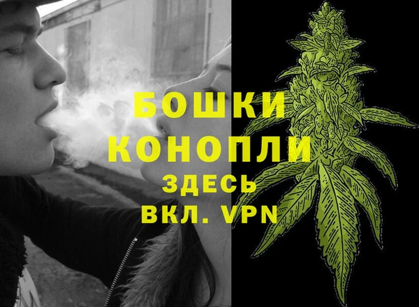 кокаин колумбия Дмитриев