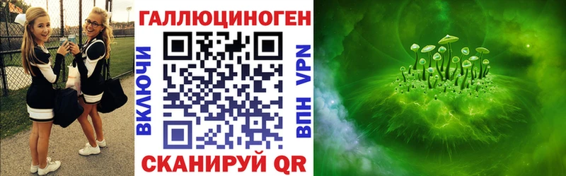 Галлюциногенные грибы Psilocybine cubensis  Злынка 