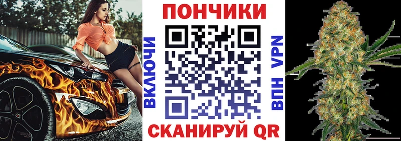 Конопля гибрид  купить наркоту  Злынка 